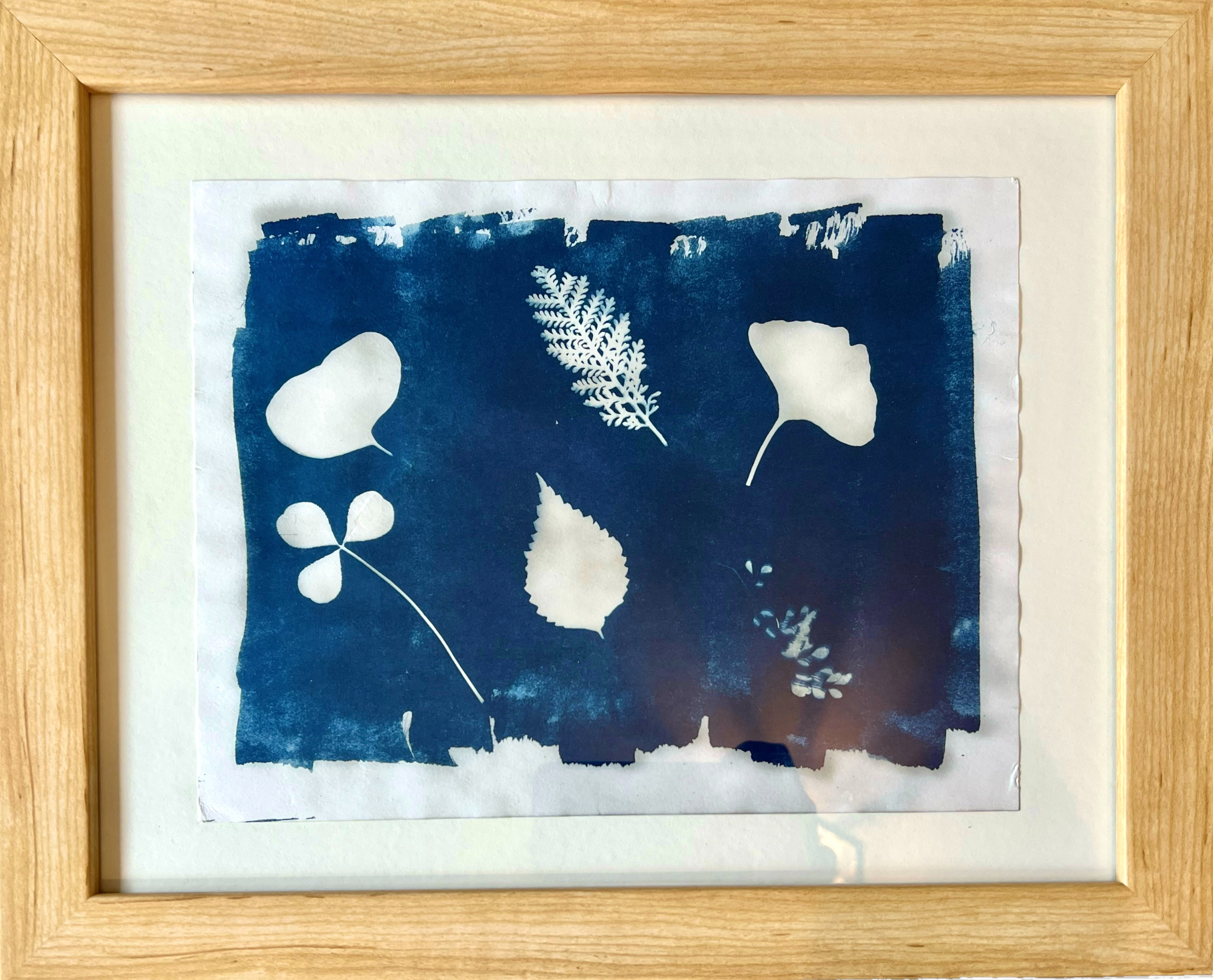 Cyanotype